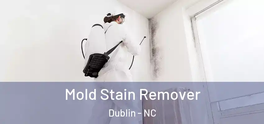 Mold Stain Remover Dublin - NC