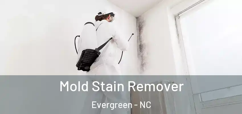  Mold Stain Remover Evergreen - NC