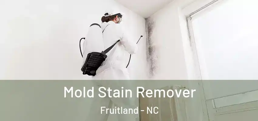 Mold Stain Remover Fruitland - NC