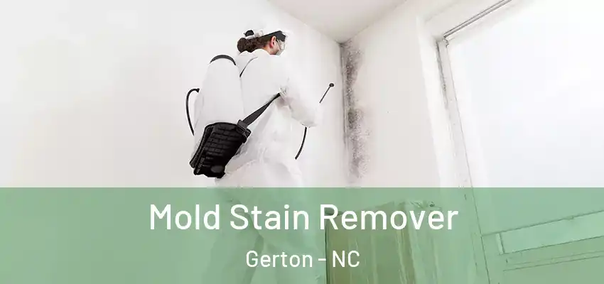 Mold Stain Remover Gerton - NC