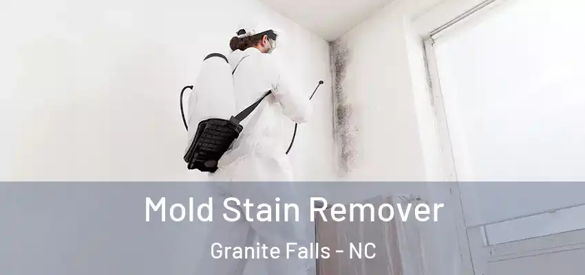 Mold Stain Remover Granite Falls - NC