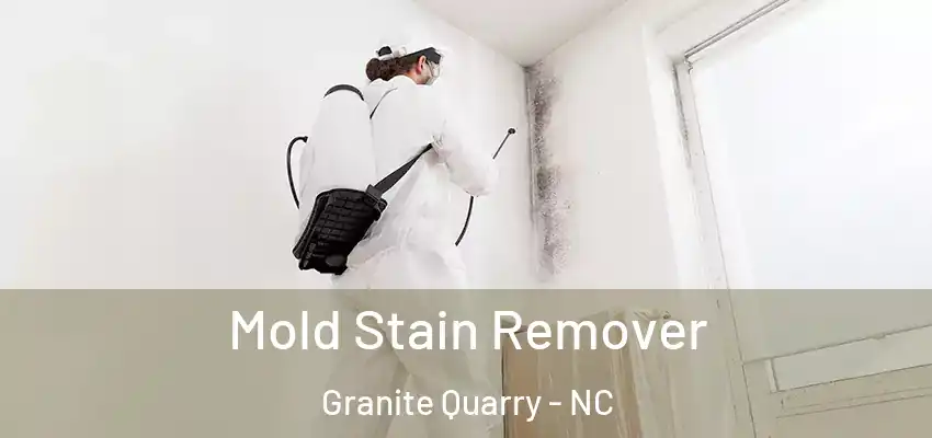  Mold Stain Remover Granite Quarry - NC