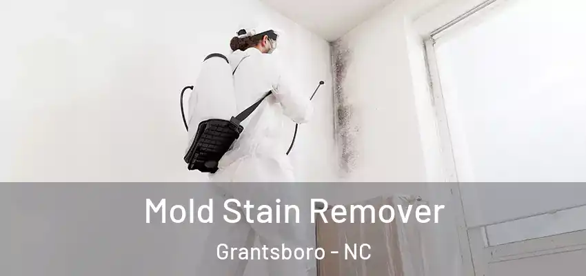 Mold Stain Remover Grantsboro - NC