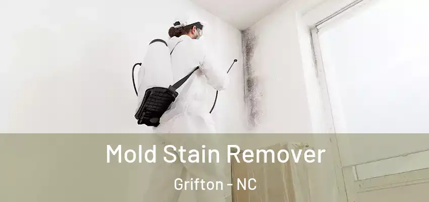  Mold Stain Remover Grifton - NC