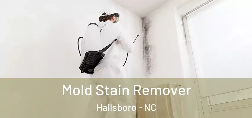  Mold Stain Remover Hallsboro - NC