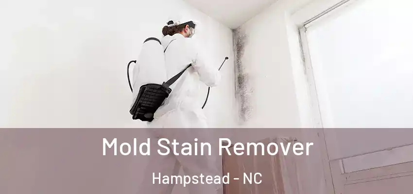 Mold Stain Remover Hampstead - NC