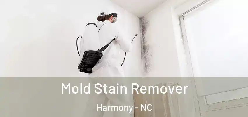 Mold Stain Remover Harmony - NC