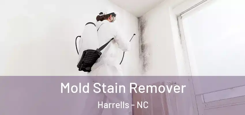  Mold Stain Remover Harrells - NC