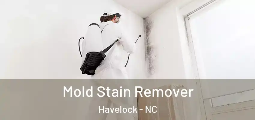  Mold Stain Remover Havelock - NC