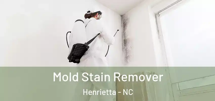  Mold Stain Remover Henrietta - NC