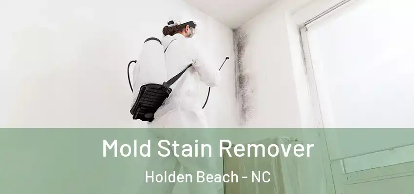 Mold Stain Remover Holden Beach - NC