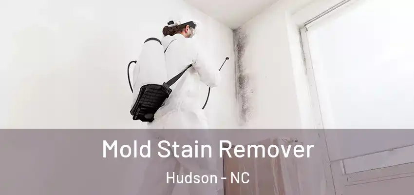  Mold Stain Remover Hudson - NC