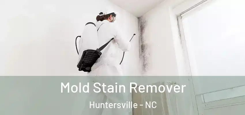  Mold Stain Remover Huntersville - NC