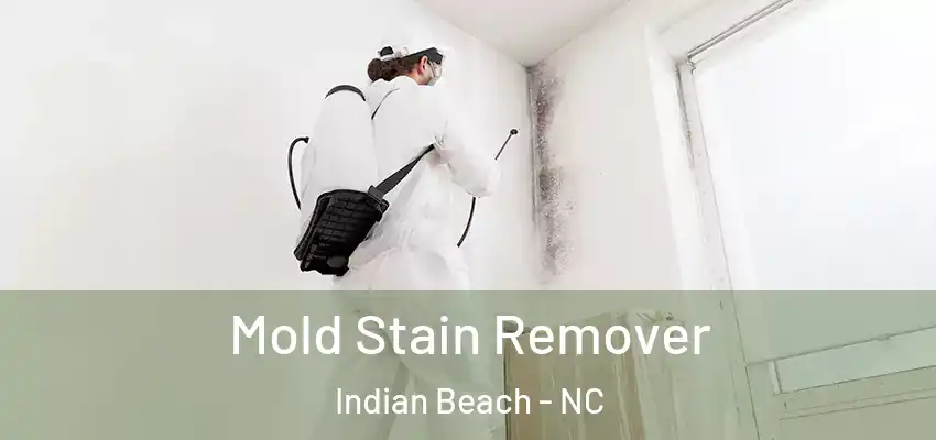 Mold Stain Remover Indian Beach - NC