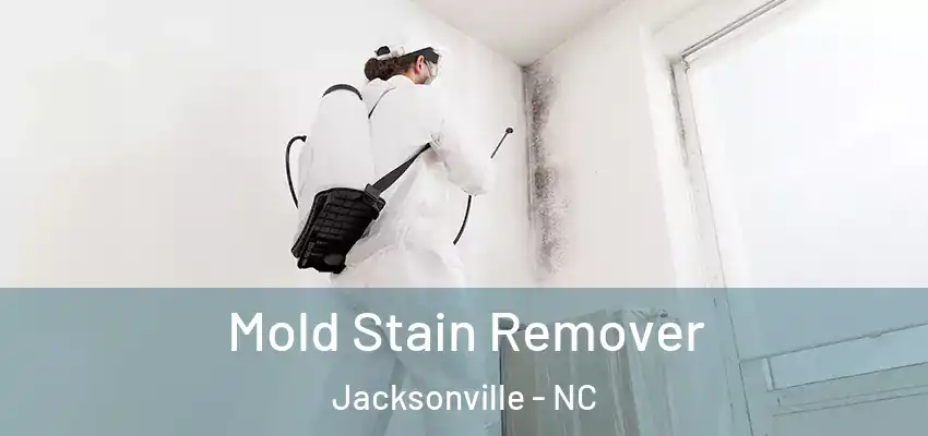  Mold Stain Remover Jacksonville - NC