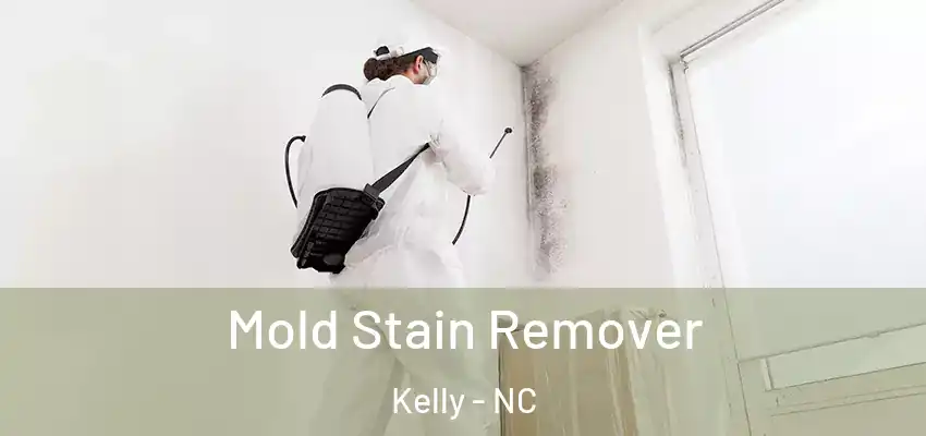  Mold Stain Remover Kelly - NC