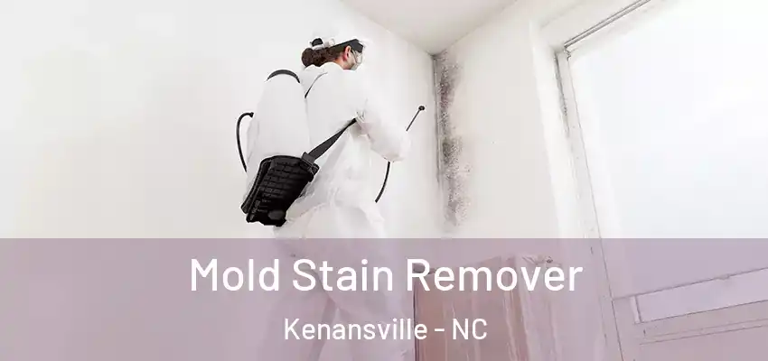  Mold Stain Remover Kenansville - NC