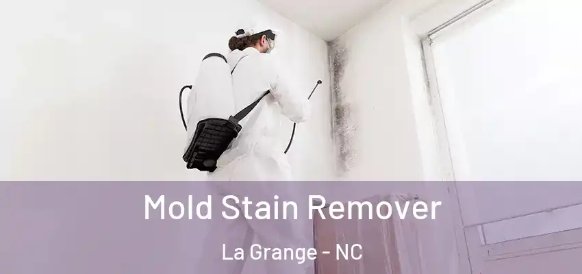 Mold Stain Remover La Grange - NC
