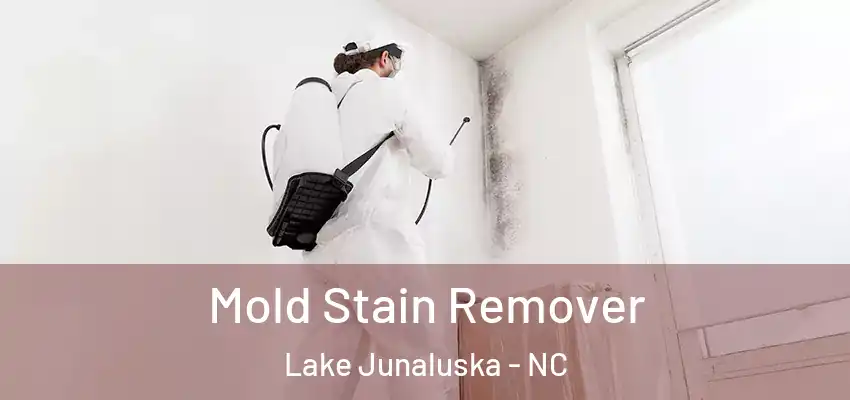 Mold Stain Remover Lake Junaluska - NC