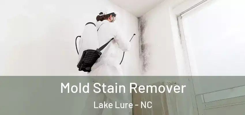 Mold Stain Remover Lake Lure - NC