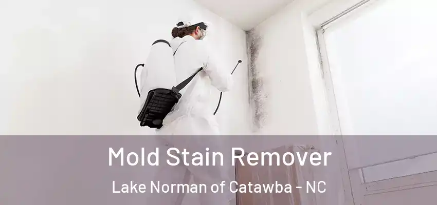  Mold Stain Remover Lake Norman of Catawba - NC