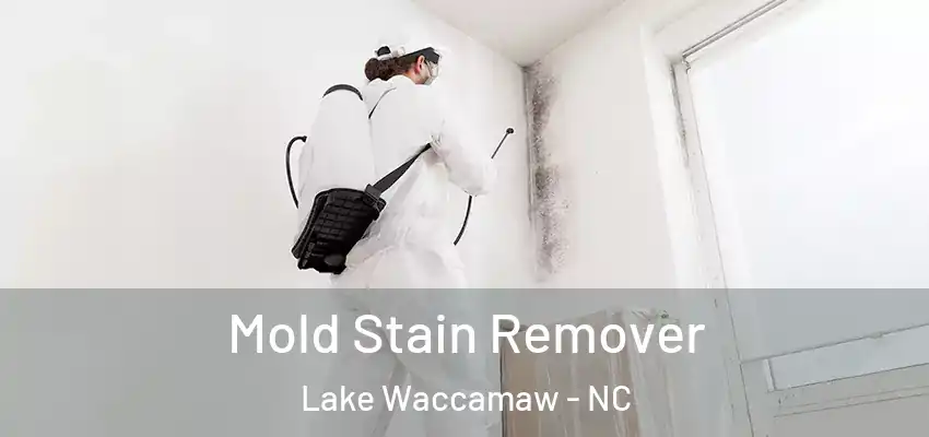  Mold Stain Remover Lake Waccamaw - NC