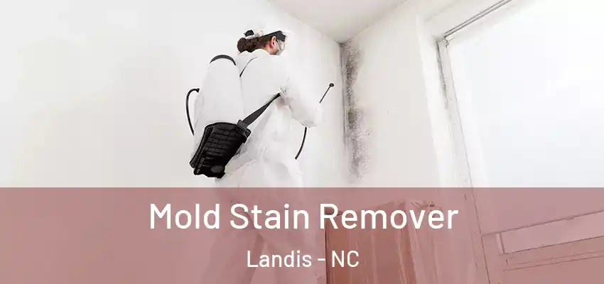 Mold Stain Remover Landis - NC