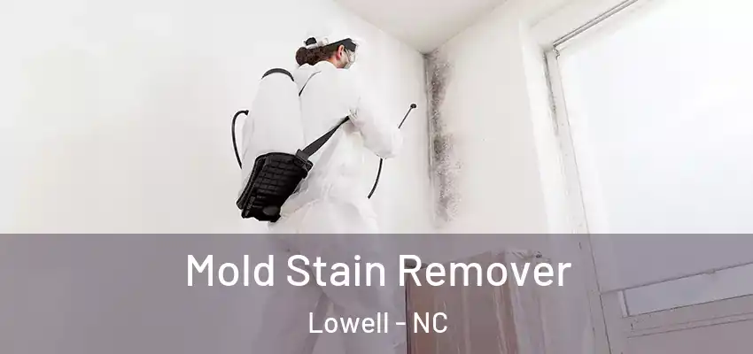 Mold Stain Remover Lowell - NC