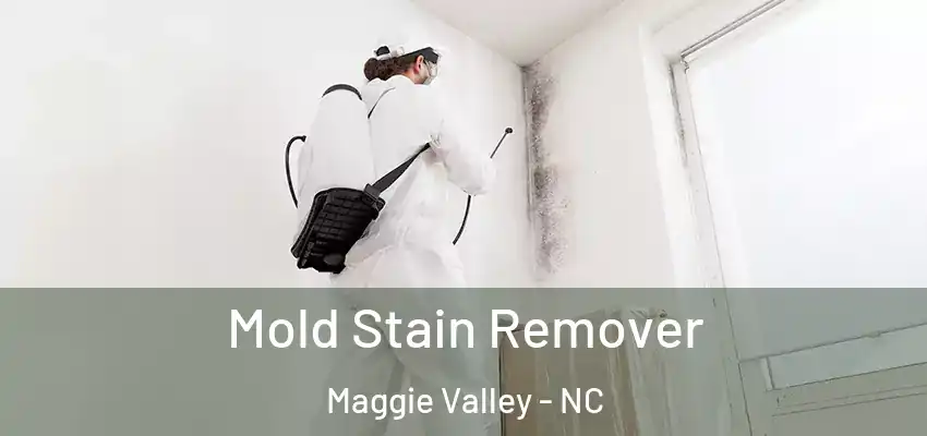Mold Stain Remover Maggie Valley - NC