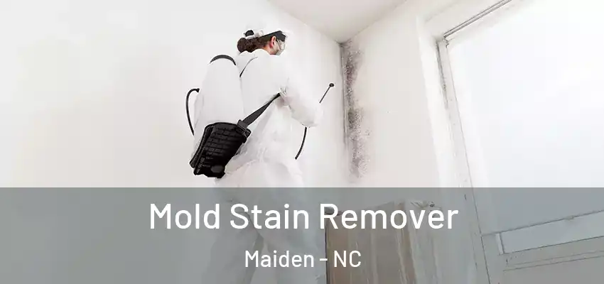  Mold Stain Remover Maiden - NC