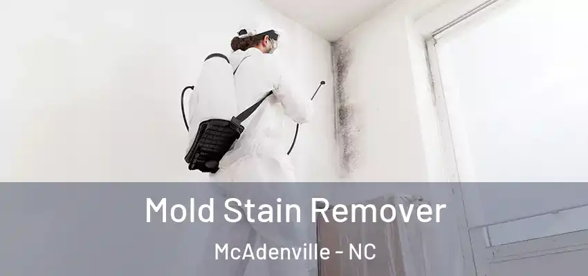  Mold Stain Remover McAdenville - NC