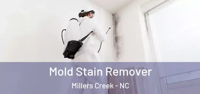  Mold Stain Remover Millers Creek - NC