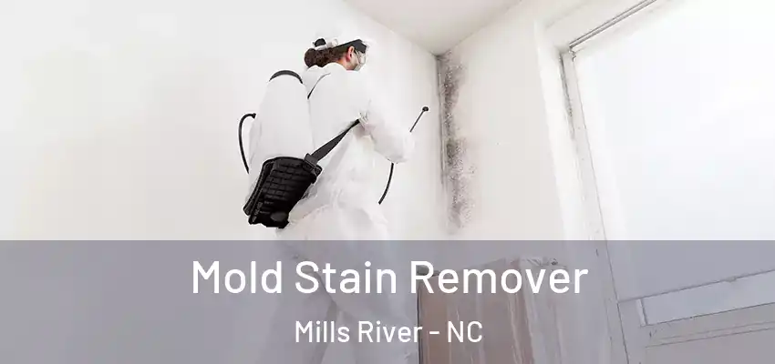  Mold Stain Remover Mills River - NC