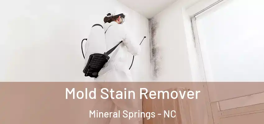  Mold Stain Remover Mineral Springs - NC