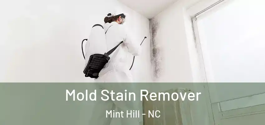 Mold Stain Remover Mint Hill - NC