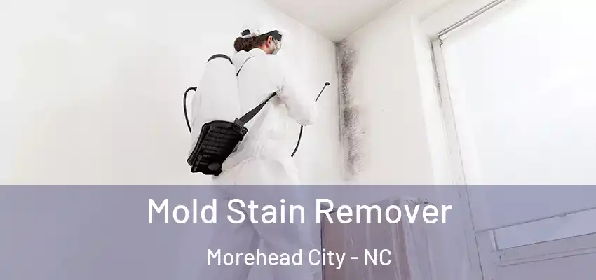  Mold Stain Remover Morehead City - NC