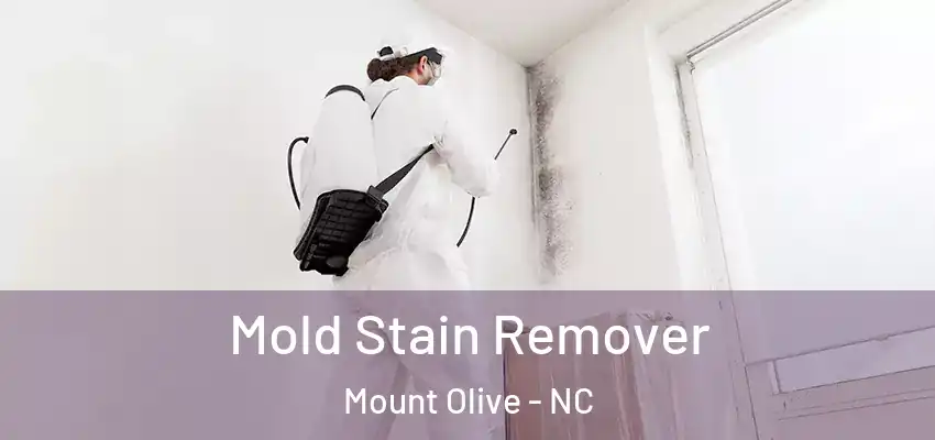 Mold Stain Remover Mount Olive - NC
