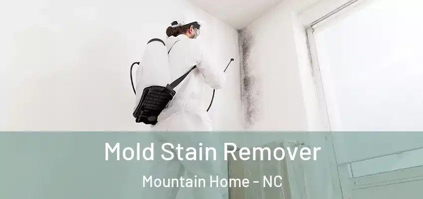  Mold Stain Remover Mountain Home - NC