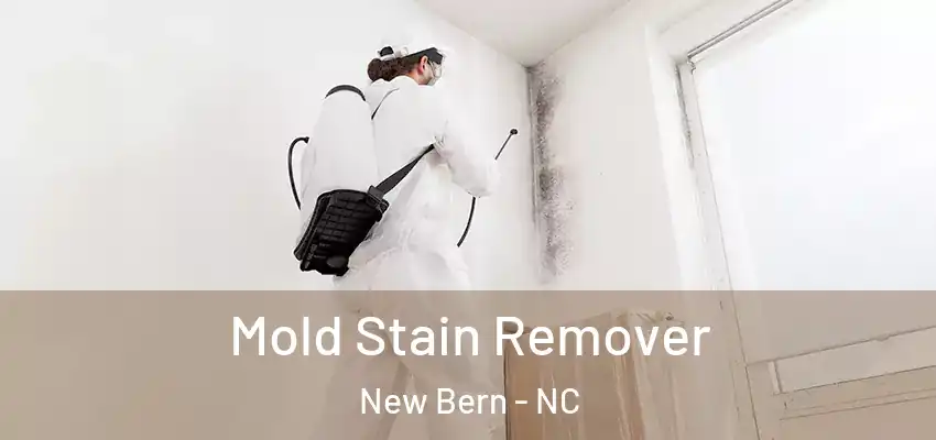  Mold Stain Remover New Bern - NC