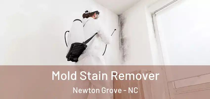 Mold Stain Remover Newton Grove - NC