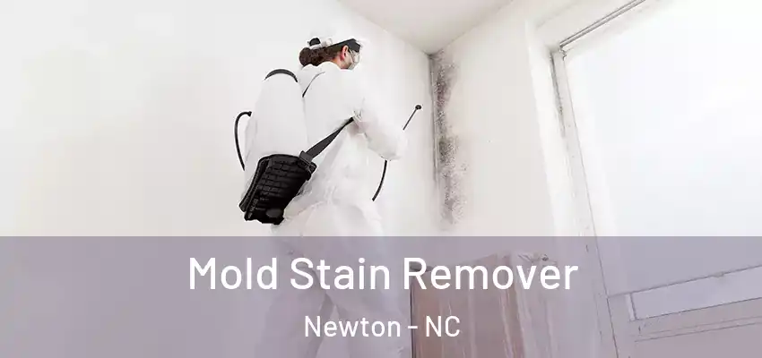 Mold Stain Remover Newton - NC