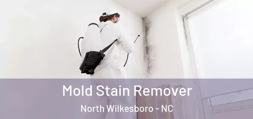  Mold Stain Remover North Wilkesboro - NC