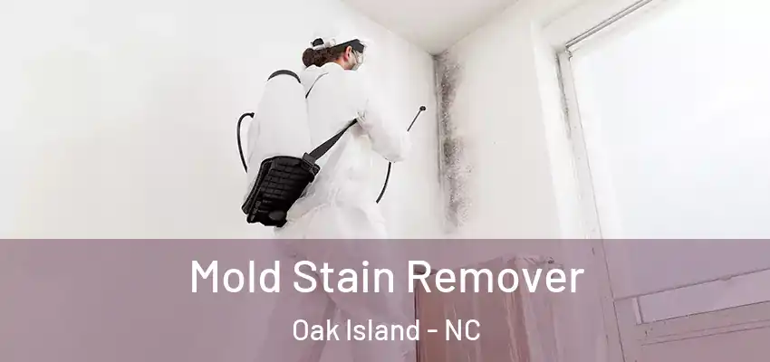  Mold Stain Remover Oak Island - NC