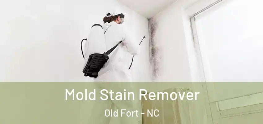  Mold Stain Remover Old Fort - NC