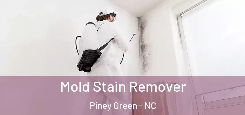  Mold Stain Remover Piney Green - NC