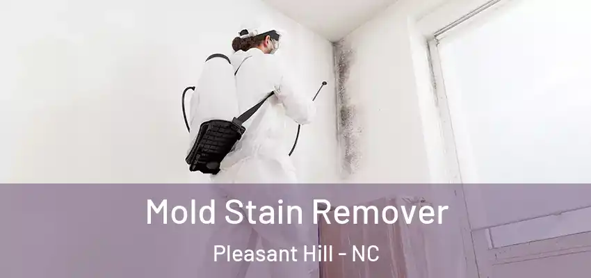  Mold Stain Remover Pleasant Hill - NC