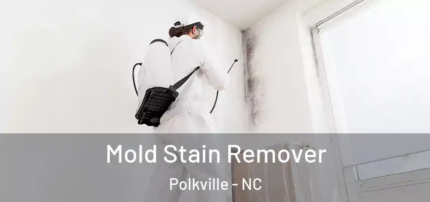  Mold Stain Remover Polkville - NC