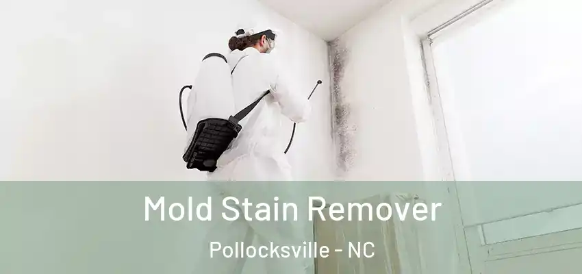  Mold Stain Remover Pollocksville - NC