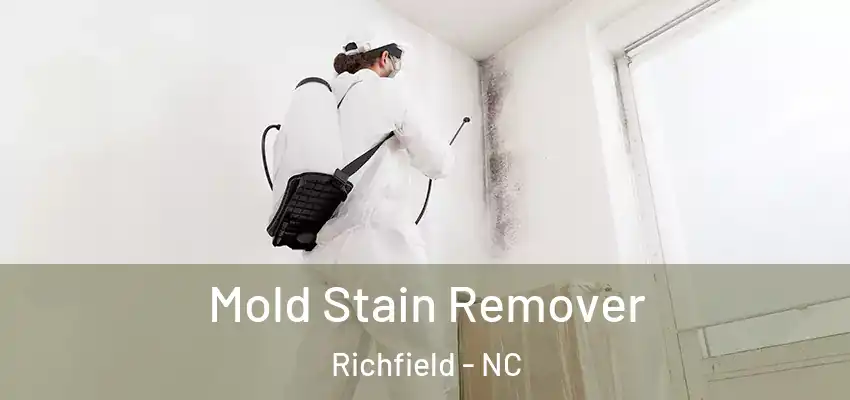 Mold Stain Remover Richfield - NC