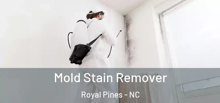 Mold Stain Remover Royal Pines - NC